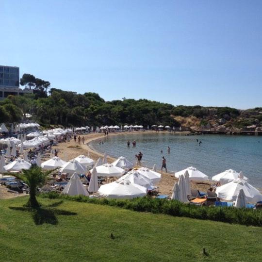 Queen Aphrodite Hotel Karpasa Zewnętrze zdjęcie